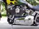 2001 Harley Davidson Softail Deuce - Fxstd Softail photo 6