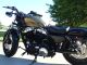2013 Harley Davidson Xl1200x Sportster Forty - Eight,  Hard Candy Gold Flake Sportster photo 5