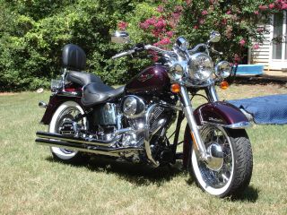 2005 Harley Davidson Softail Deluxe photo