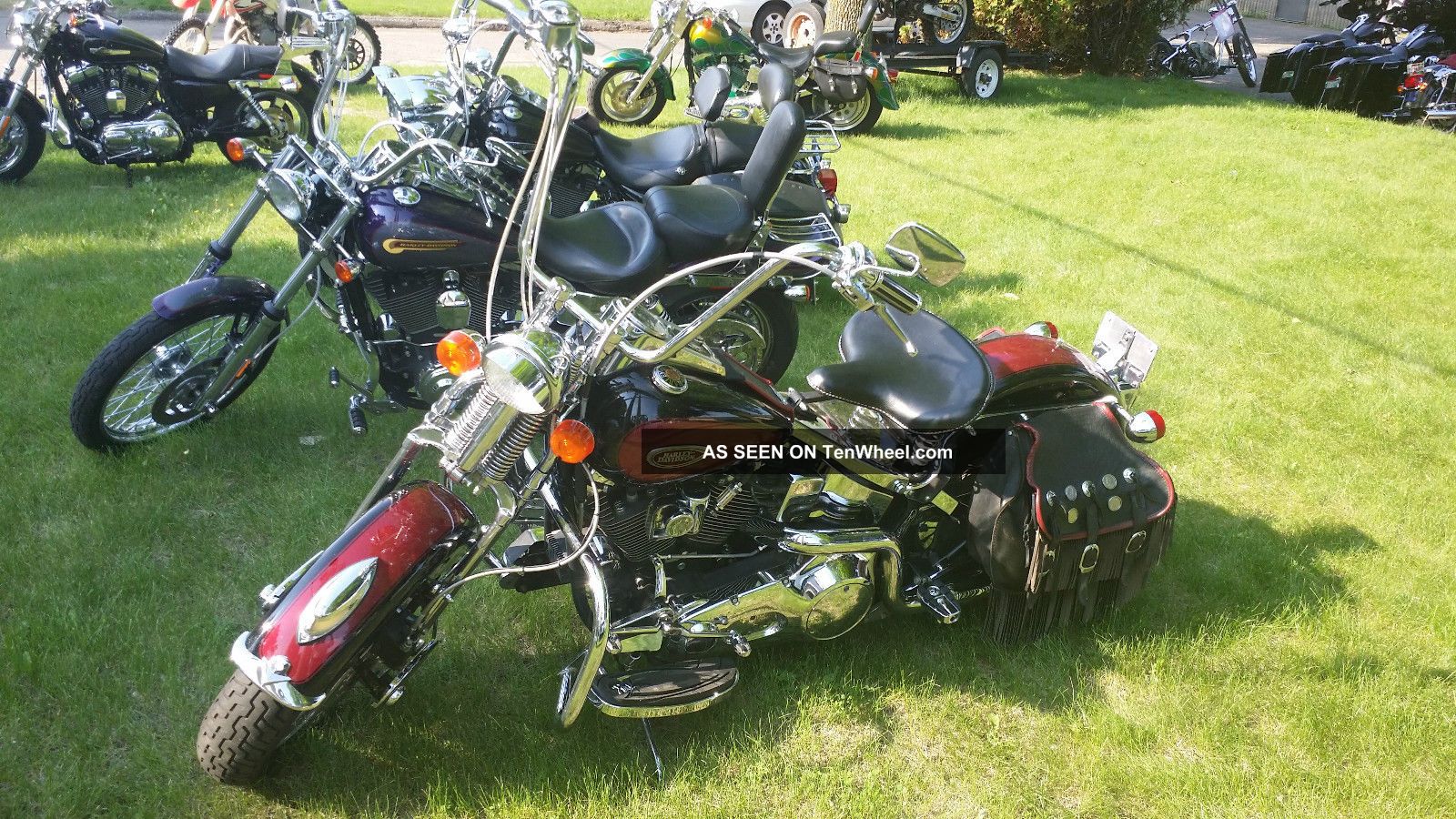 1998 harley springer