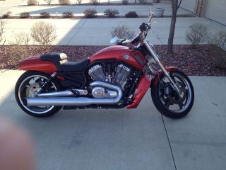 2013 Harley Davidson V - Rod Muscle photo