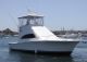 2007 Luhrs 36 Ft Convertible Fishing Boat Offshore Saltwater Fishing photo 3