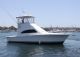 2007 Luhrs 36 Ft Convertible Fishing Boat Offshore Saltwater Fishing photo 4