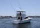 2007 Luhrs 36 Ft Convertible Fishing Boat Offshore Saltwater Fishing photo 5
