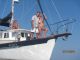 1977 Fales Navigator Sailboats 28+ feet photo 3