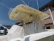 2004 Venture 34 ' Cuddy Other Powerboats photo 1