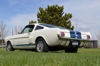 1966 Ford Mustang Shelby Gt - 350 photo