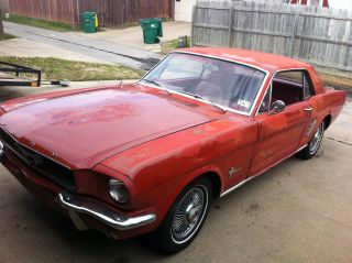 1966 Mustang photo
