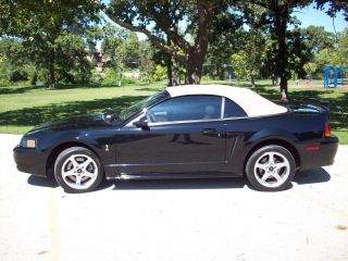 Rare,  2001 Mustang Cobra Convertible,  131 Made,  Car Show Vehicle,  Drive Anywhere photo