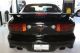 2001 Pontiac Firebird Trans Am Coupe 2 - Door 5.  7l T - Top Black / Charcoal Firebird photo 6