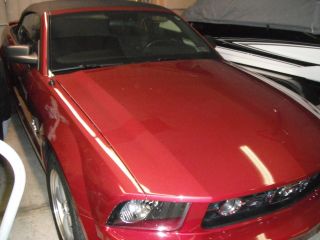 2007 Ford Mustang Convertible Pony Edition photo