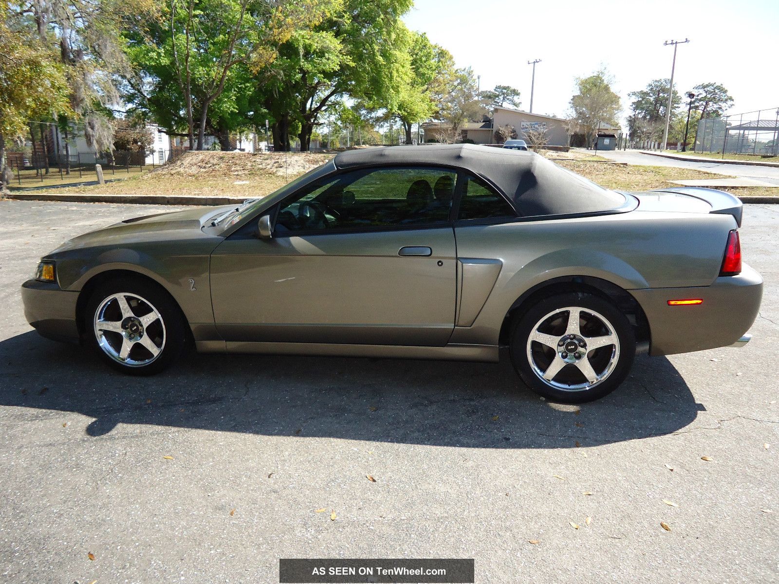 2003 Ford svt cobra convertible #8