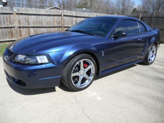 2001 Ford Mustang Svt Cobra Coupe True Blue photo