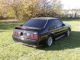 1989 Ford Mustang Gt Hatchback Mustang photo 2