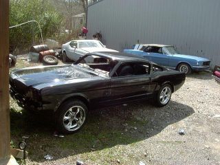 1966 Mustang Fastback 2+2 photo