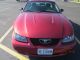 2003 Ford Mustang Base Coupe 2 - Door 3.  8l Mustang photo 1