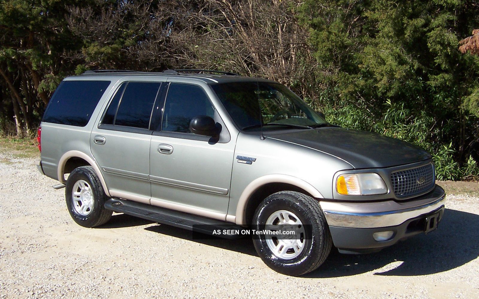 1999 Ford expedition eddie bauer edition reviews #2