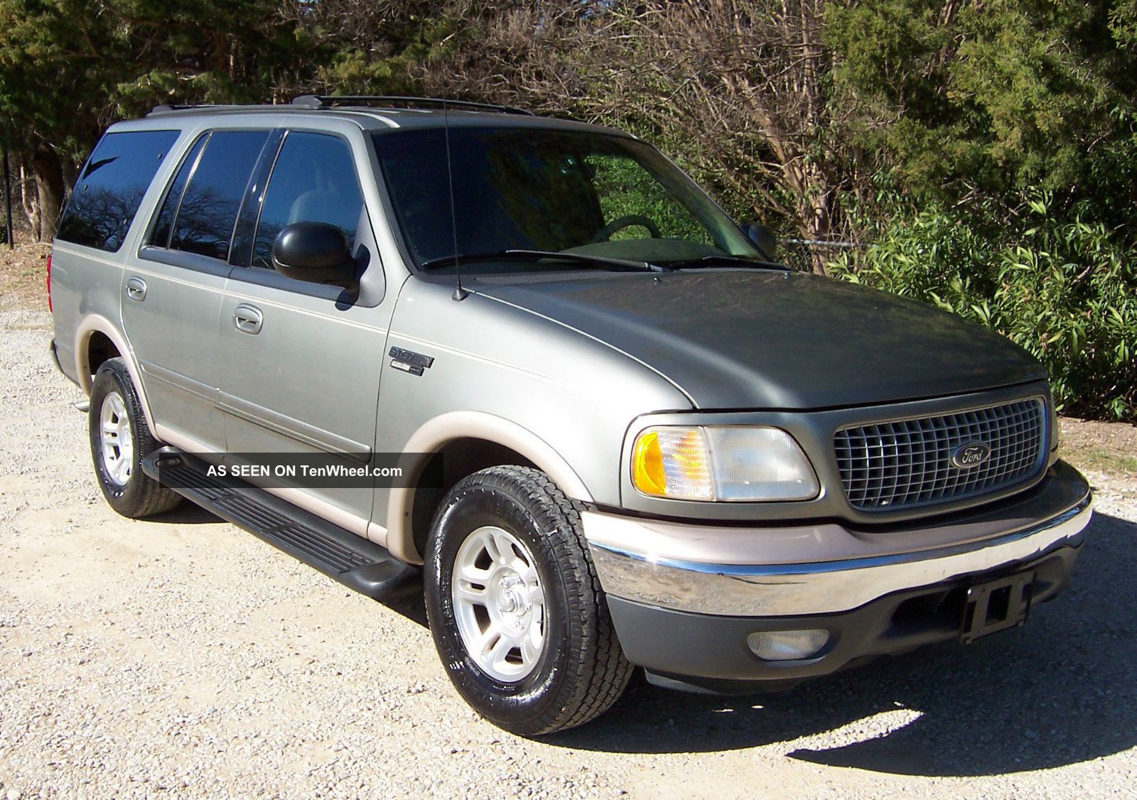 1999 Ford expedition eddie bauer edition reviews #3