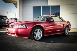 2000 Ford Mustang Gt Convertible Red Premium 5 Speed Automatic Power Sea photo