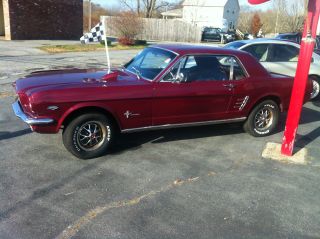 1966 Ford Mustang V8 Coupe 4 Speed photo