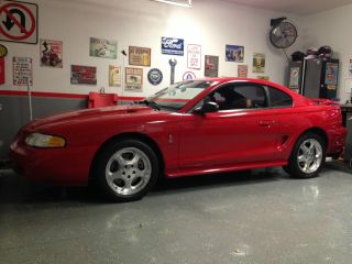 1994 Ford Mustang Svt Cobra Coupe 2 - Door 5.  0l photo