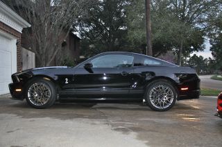 2013 Gt - 500 Shelby photo