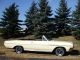 1964 Buick 2dr Skylark Convertible In And Out Rare 300 - V8 Numbers Matching Skylark photo 11