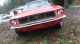1967 / 68ford Mustang Mustang photo 1