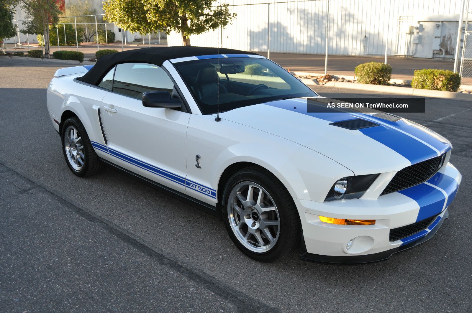 2007 Convertible ford gt500 shelby #7
