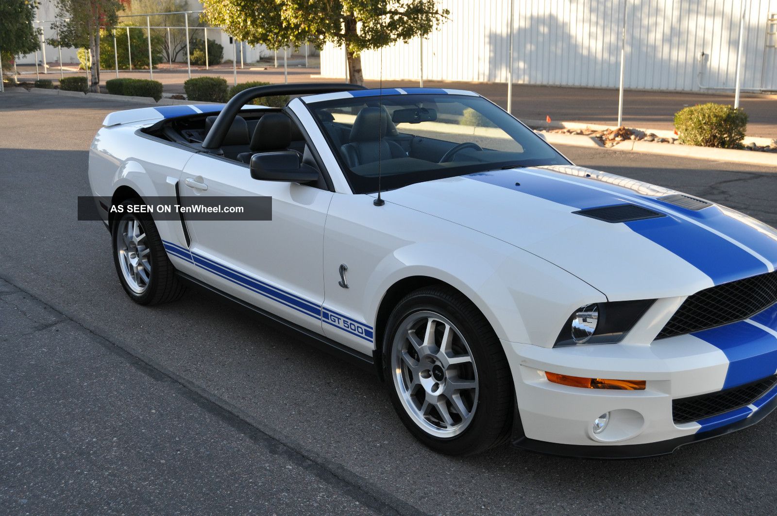 2007 Ford mustang cobra convertible #10