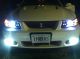 2003 Ford Mustang Cobra Convertible Mustang photo 11