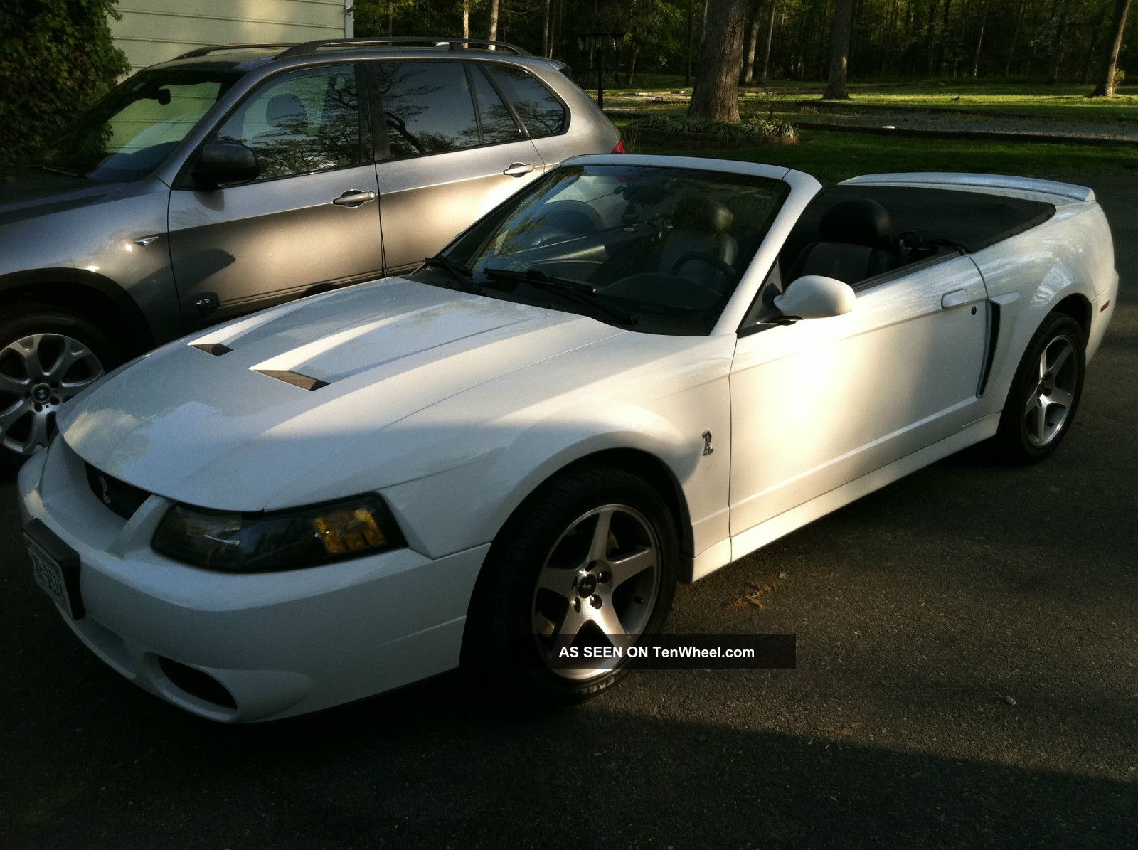 2003 Ford Mustang Cobra Convertible Mustang photo
