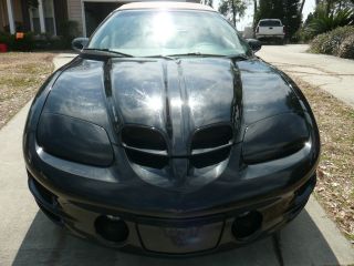 2001 Pontiac Firebird Trans Am Ws6 Ram Air Convertible photo