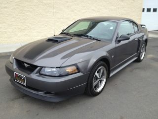 2003 Ford Mustang Mach I Coupe 2 - Door 4.  6l Car Trade In photo