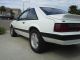 1991 Ford Mustang 5.  0 5 - Speed Black Interior Great Shape Mustang photo 5