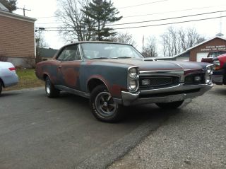 1967 Pontiac Gto Restoration Project: Very Solid And Straight Car photo