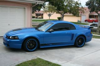 2000 Steeda Ford Gt Supercharged Mustang photo