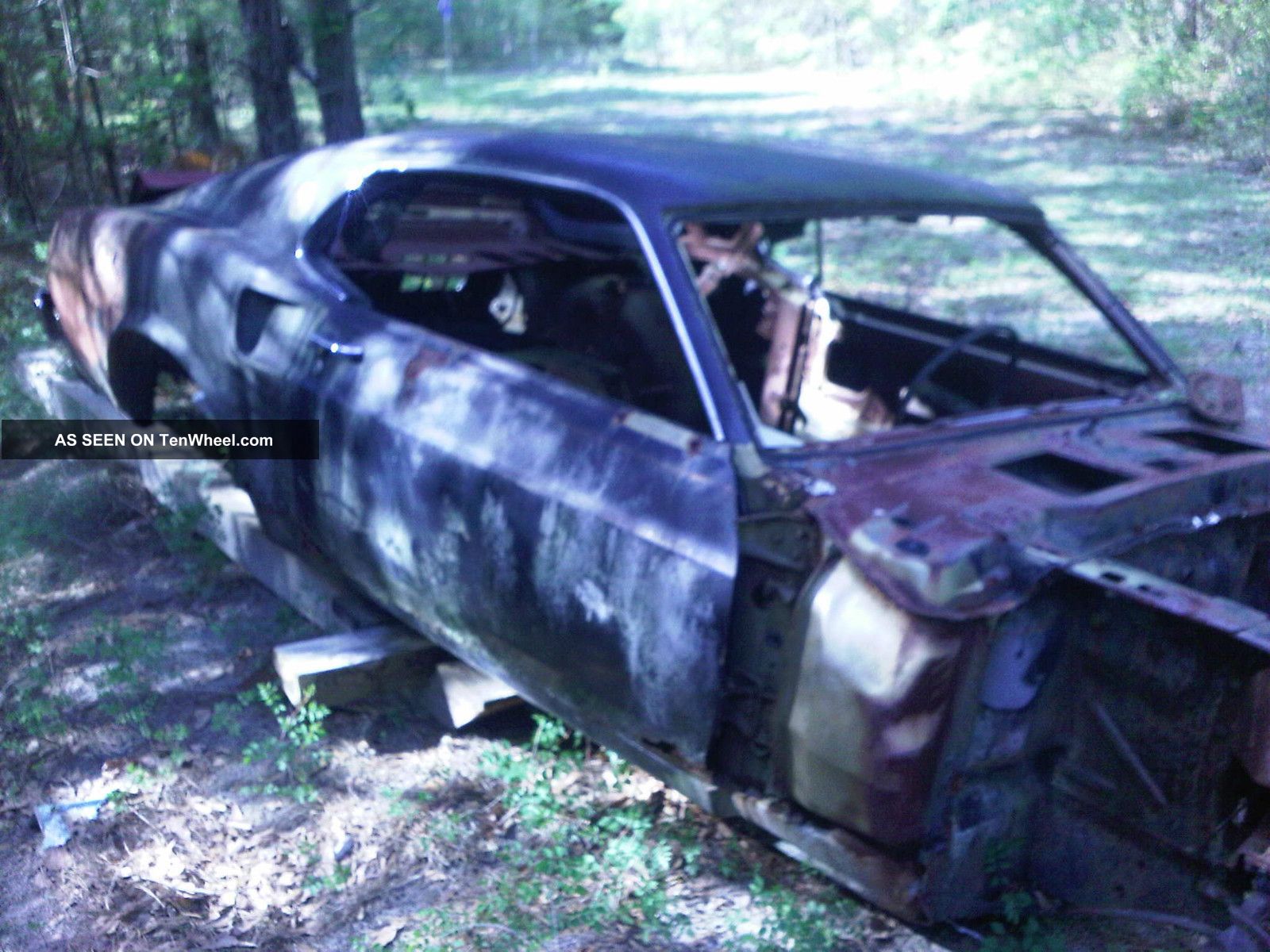 1969 Mustang Mach 1 Mustang photo