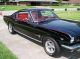 1965 Ford Mustang 2+2 Fastback Mustang photo 1