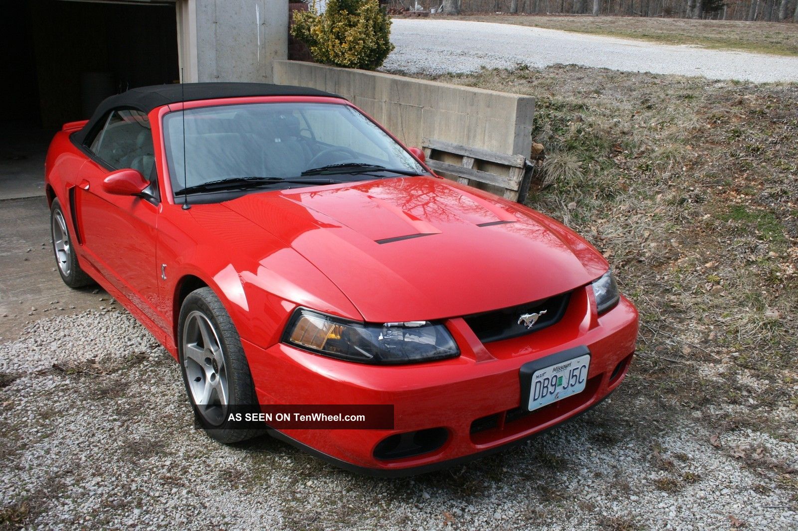 2003 Ford Mustang Svt Cobra Convertible 2 - Door 4.  6l Mustang photo