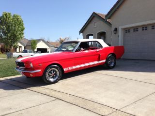 1966 65 64 Ford Mustang Convertible 289 V8 Shelby G.  T 350 C Code Great Buy photo