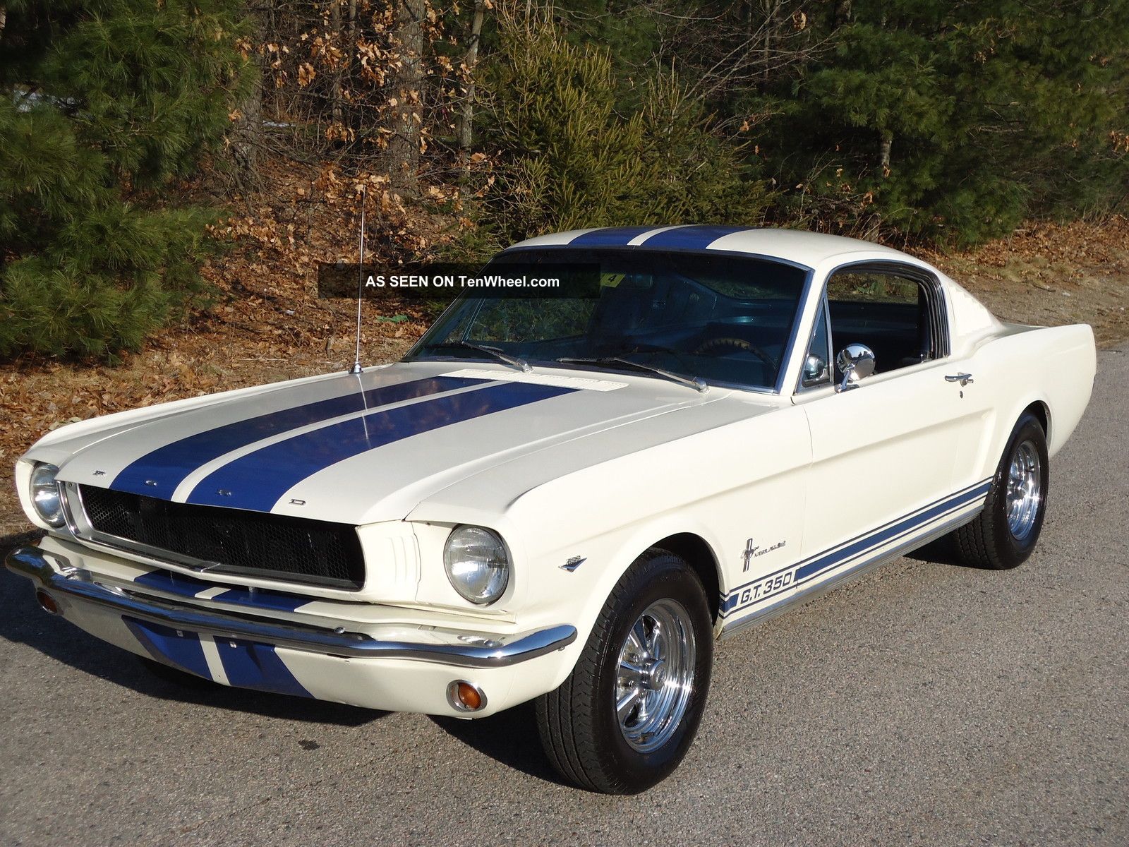 1965 Ford mustang clones #10