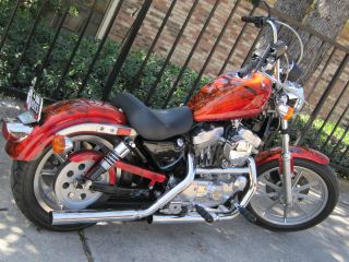 Customized 1993 Harley Davidson Sportster photo