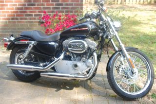 2005 Harley Davidson Xl883c photo