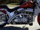 2002 Harley Davidson Softail Show Bike Softail photo 4