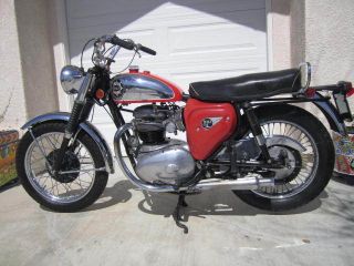 1965 Bsa 500 Twin Cyclone 1 Year Us Only Rare` photo