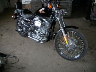 2000 Harley Davidson Sportster photo