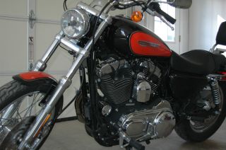 2009 Harley Davidson Sportster 1200 Custom photo