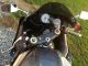 2001 Suzuki Gsxr Gsx - R 1000 GSX-R photo 9