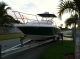 1997 Pro - Line Donzi Edition 34 ' 6 Offshore Saltwater Fishing photo 3